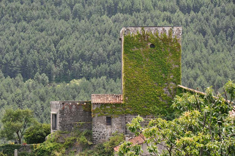  Saint Roman-de-Codières photo st-roman-codieres0072b.jpg