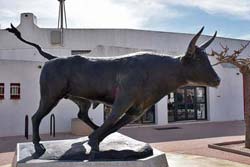 The Camargue-race toro <i>Garlan