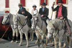 St-Martin-de-Crau Paturage cowboys 