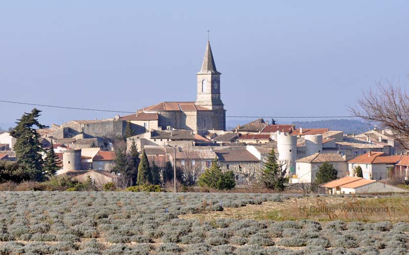  Taulignan photo taulignan0003b.jpg