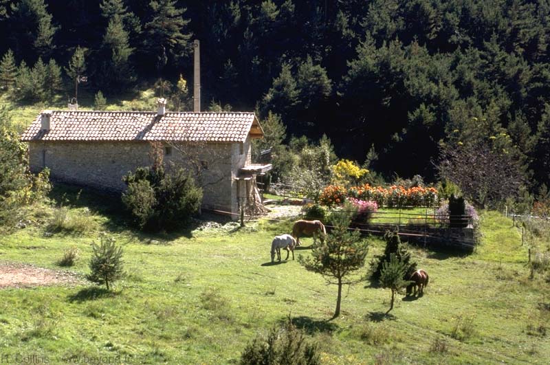  Thiery photo thiery045b.jpg