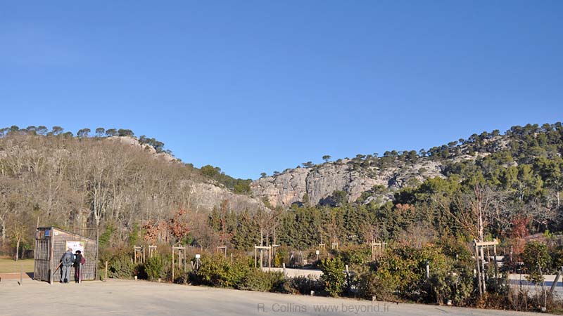  Tholonet photo tholonet0001b.jpg