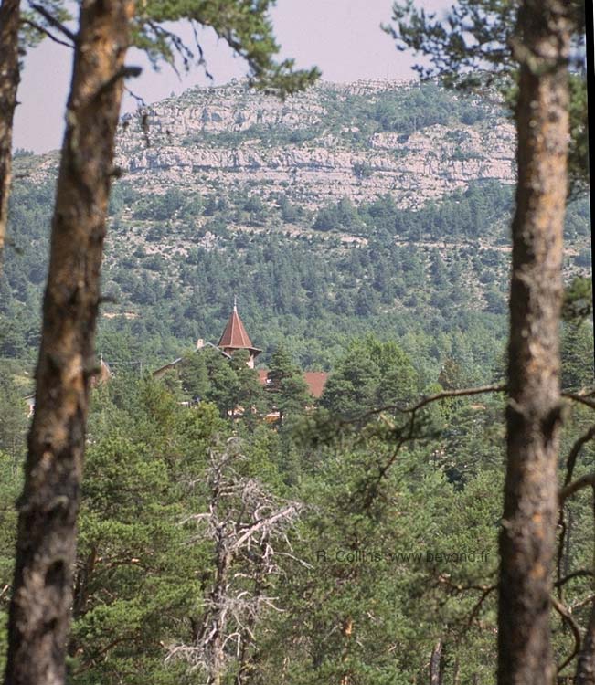  Thorenc photo thorenc056b.jpg