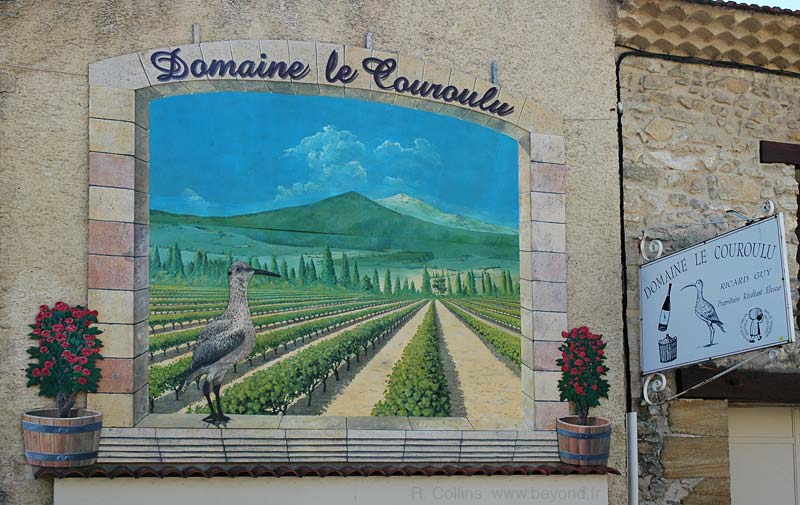  Vacqueyras photo vacqueyras0011b.jpg