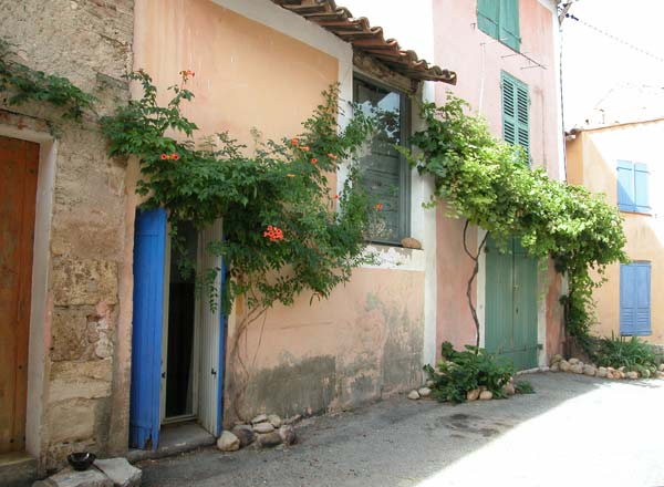  Valensole photo valensole0045b.jpg