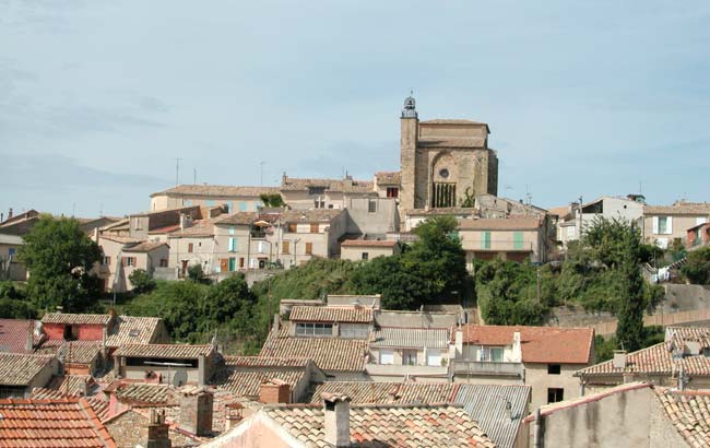  Valensole photo valensole0050b.jpg