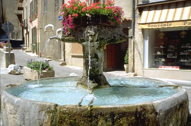  Valensole photo valensole020b.jpg