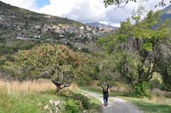 Hiker returning to Venanson
