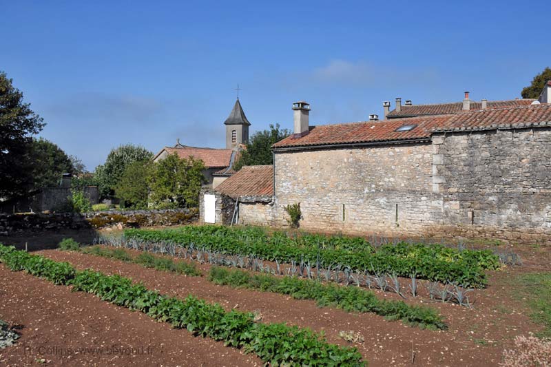  Viala-du-Pas-de-Jaux photo viala-du-pas-de-jaux0011b.jpg