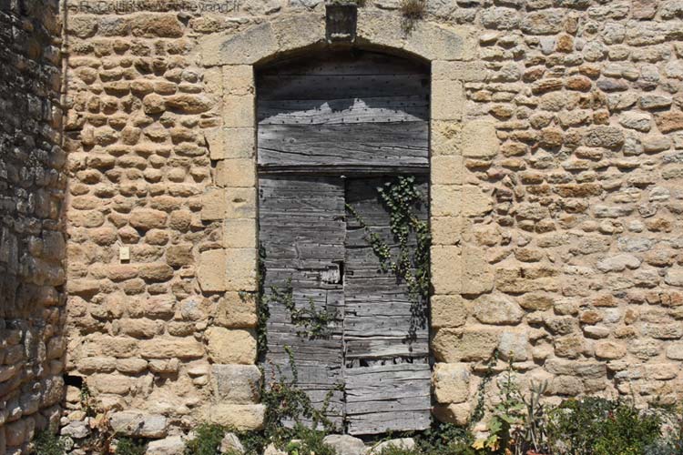  Viens photo viens0037b.jpg