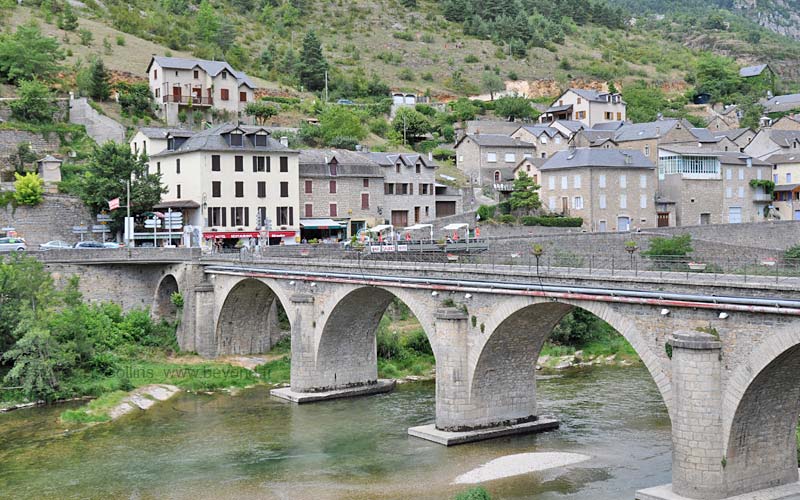  Vignes photo vignes0004b.jpg