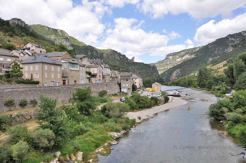  Vignes photo vignes0011b.jpg