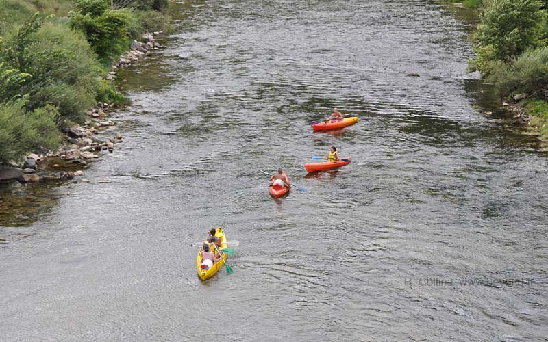  Vignes photo vignes0019b.jpg
