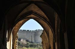 Vaulted window from inside the Chartreuse
