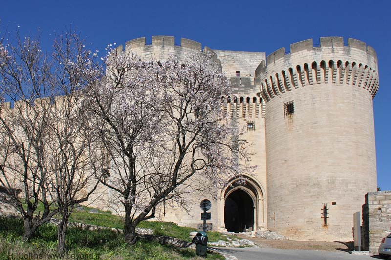  Villeneuve-lès-Avignon photo villeneuve-st-andre-fort0001b.jpg